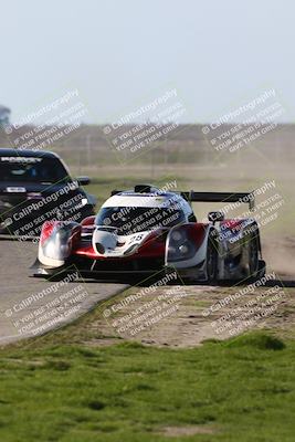 media/Feb-23-2024-CalClub SCCA (Fri) [[1aaeb95b36]]/Group 5/Qualifying (Star Mazda)/